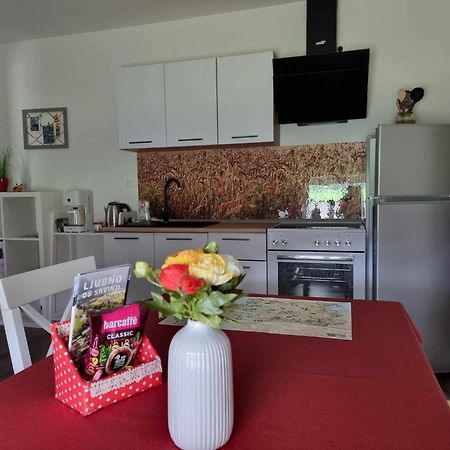 Apartmaji Ribic Ljubno Exteriér fotografie