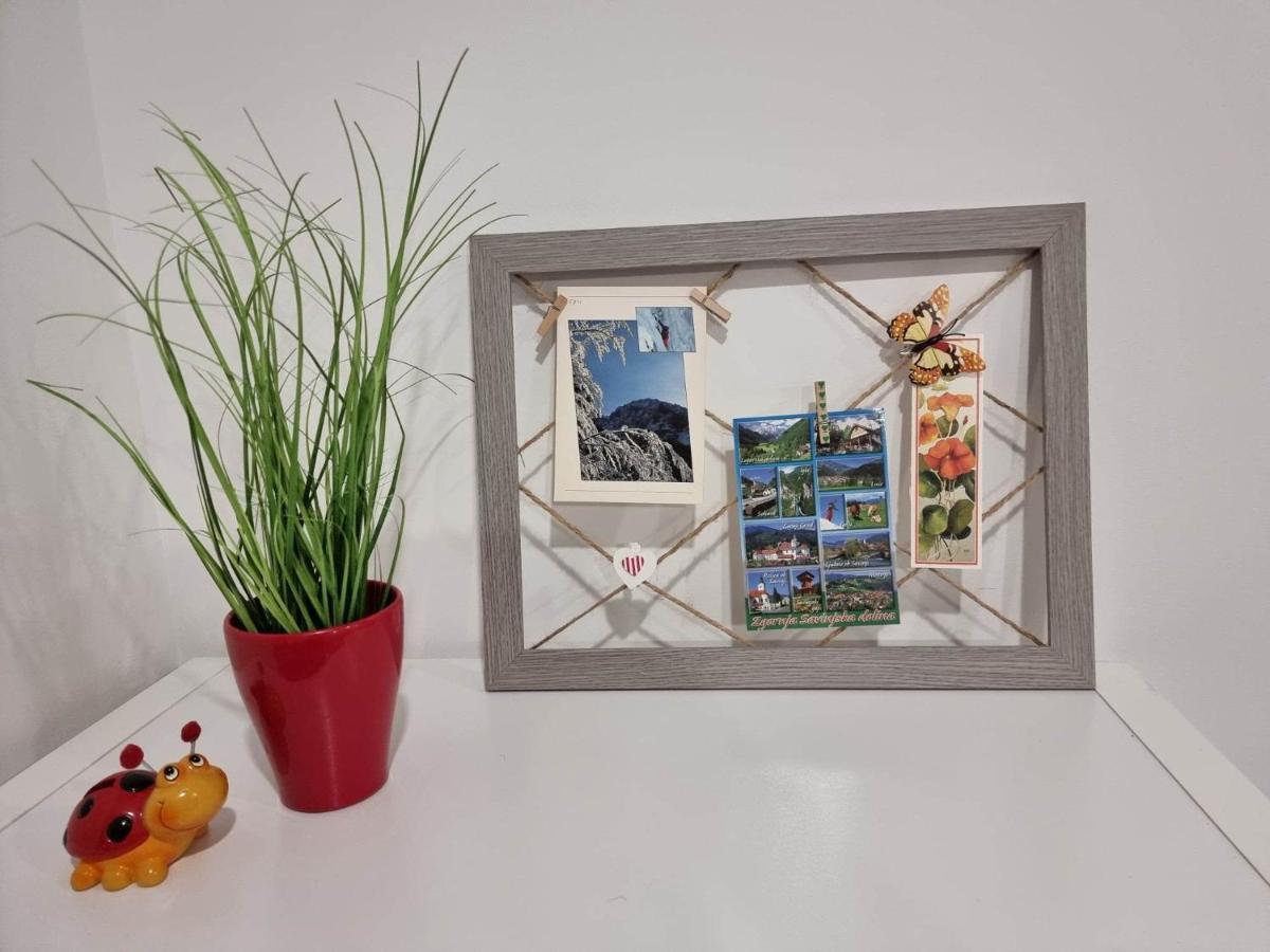 Apartmaji Ribic Ljubno Exteriér fotografie