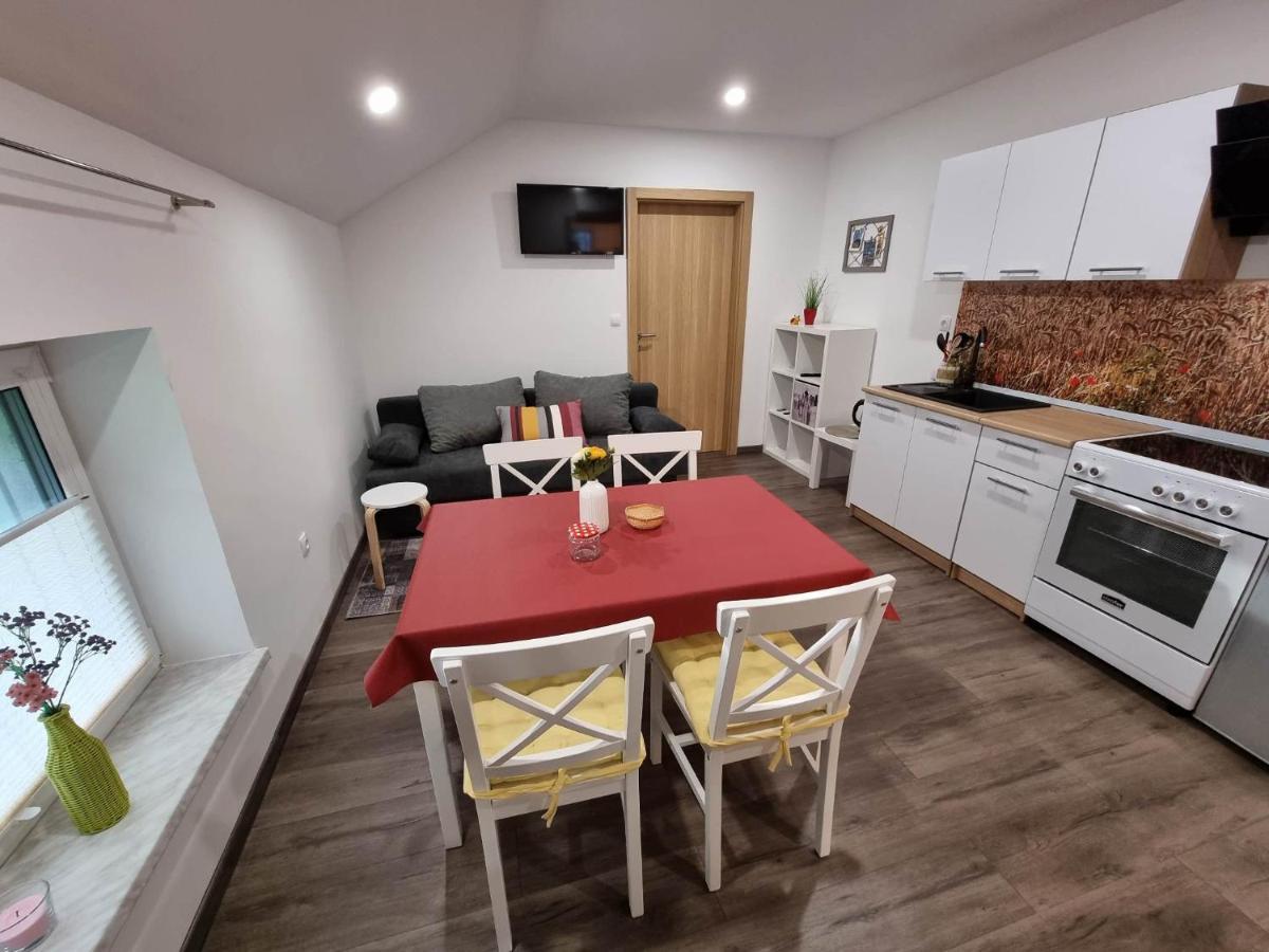 Apartmaji Ribic Ljubno Exteriér fotografie