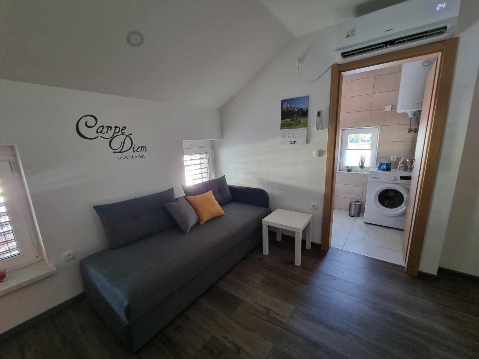 Apartmaji Ribic Ljubno Exteriér fotografie