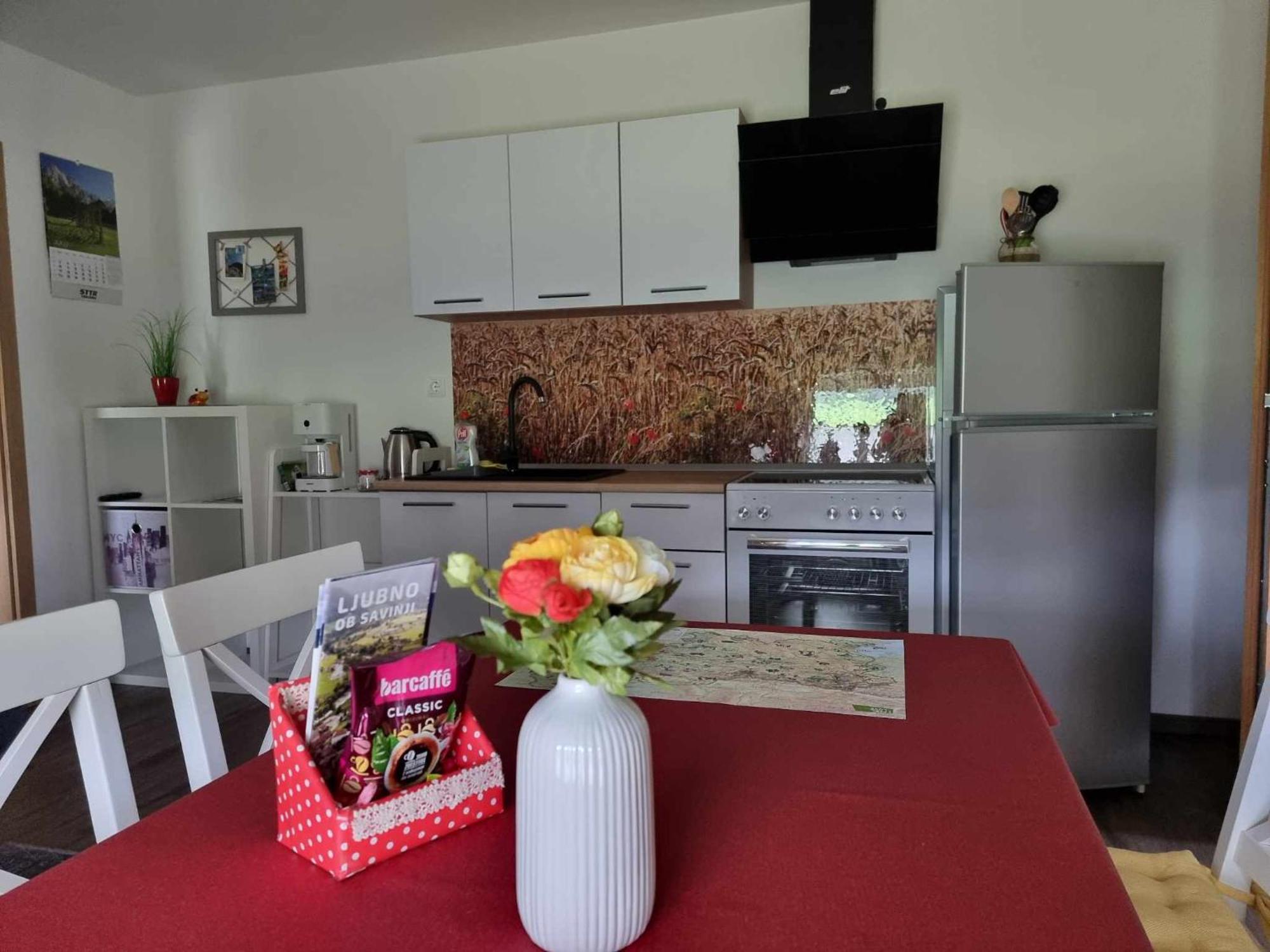 Apartmaji Ribic Ljubno Exteriér fotografie